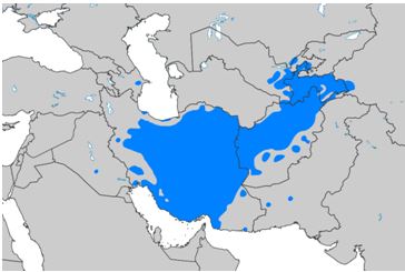 Persian-speaking areas 