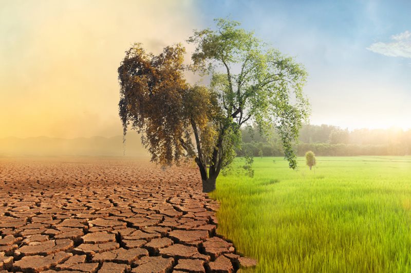 Impact climatique visible dans la plupart des terres de la Terre